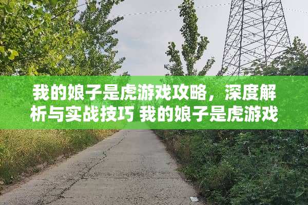 我的娘子是虎游戏攻略，深度解析与实战技巧 我的娘子是虎游戏攻略