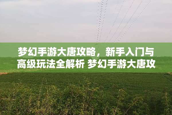 梦幻手游大唐攻略，新手入门与高级玩法全解析 梦幻手游大唐攻略
