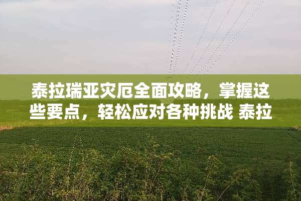 泰拉瑞亚灾厄全面攻略，掌握这些要点，轻松应对各种挑战 泰拉瑞亚灾厄攻略