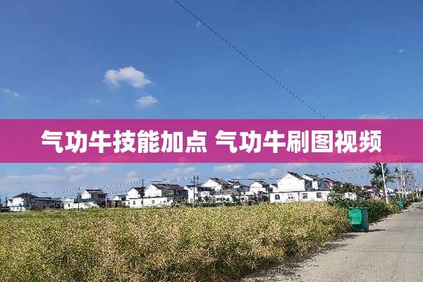 气功牛技能加点 气功牛刷图视频