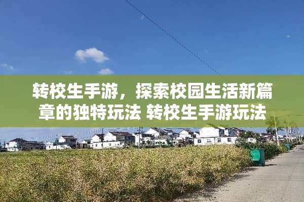 转校生手游，探索校园生活新篇章的独特玩法 转校生手游玩法