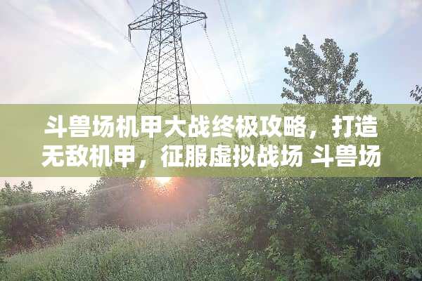斗兽场机甲大战终极攻略，打造无敌机甲，征服虚拟战场 斗兽场机甲小游戏攻略