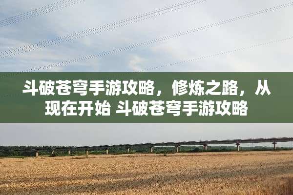 斗破苍穹手游攻略，**之路，从现在开始 斗破苍穹手游攻略
