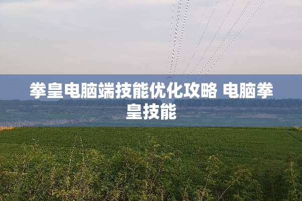 拳皇电脑端技能优化攻略 电脑拳皇技能