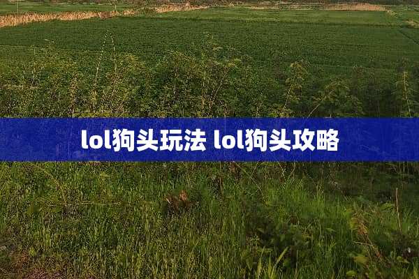 lol狗头玩法 lol狗头攻略