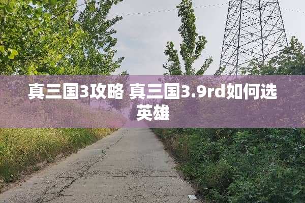 真三国3攻略 真三国3.9rd如何选英雄
