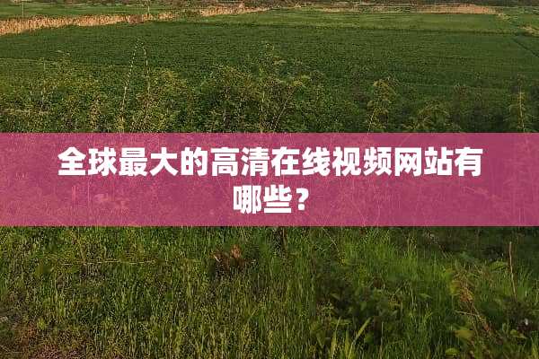全球最大的高清在线视频网站有哪些？