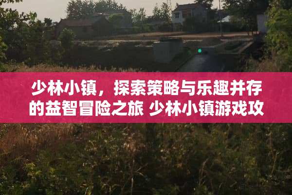 少林小镇，探索策略与乐趣并存的益智冒险之旅 少林小镇游戏攻略图解