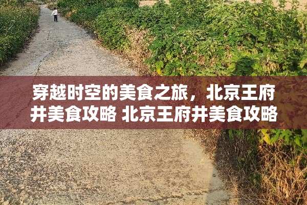 穿越时空的美食之旅，北京王府井美食攻略 北京王府井美食攻略
