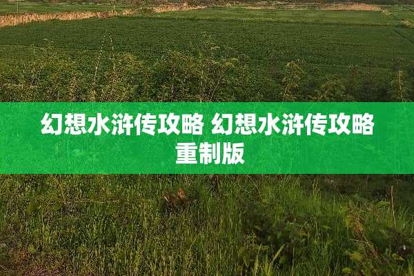 幻想水浒传攻略 幻想水浒传攻略 重制版