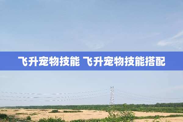 飞升宠物技能 飞升宠物技能搭配