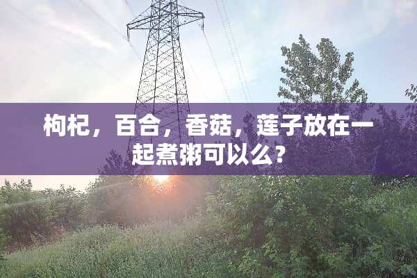枸杞，百合，香菇，莲子放在一起煮粥可以么？