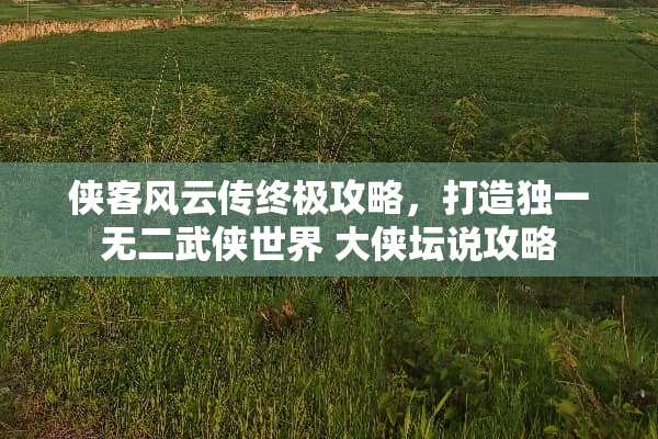 侠客风云传终极攻略，打造独一无二武侠世界 大侠坛说攻略