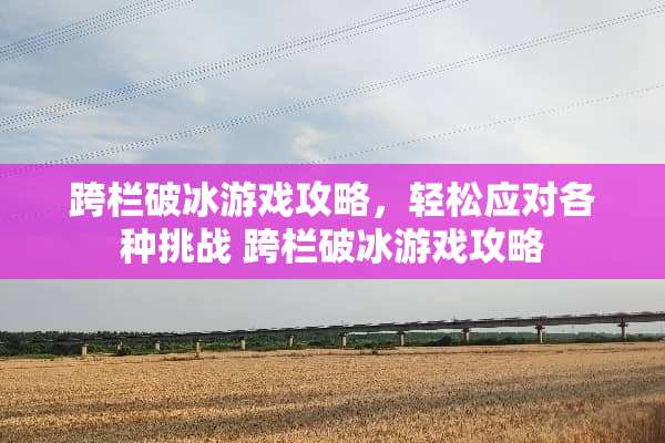 跨栏破冰游戏攻略，轻松应对各种挑战 跨栏破冰游戏攻略