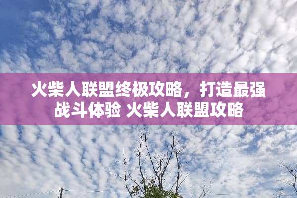 火柴人联盟终极攻略，打造最强战斗体验 火柴人联盟攻略