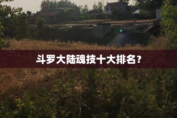 斗罗**魂技十大排名？