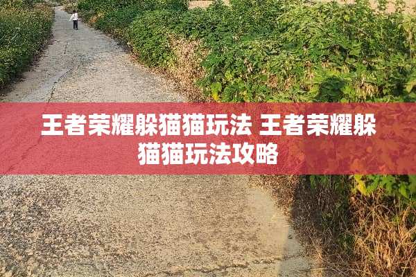 王者荣耀***玩法 王者荣耀***玩法攻略