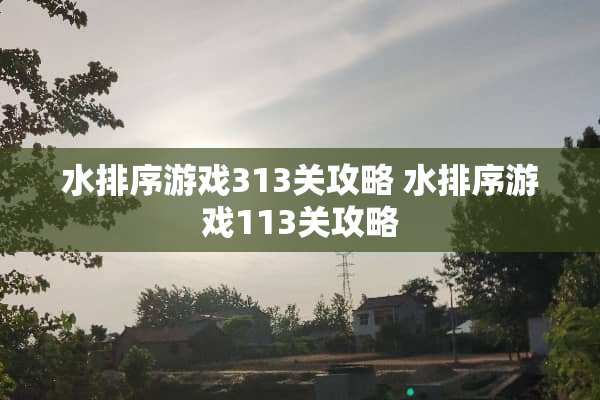 水排序游戏313关攻略 水排序游戏113关攻略