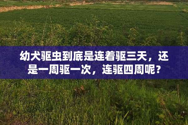 幼犬驱虫到底是连着驱三天，还是一周驱一次，连驱四周呢？