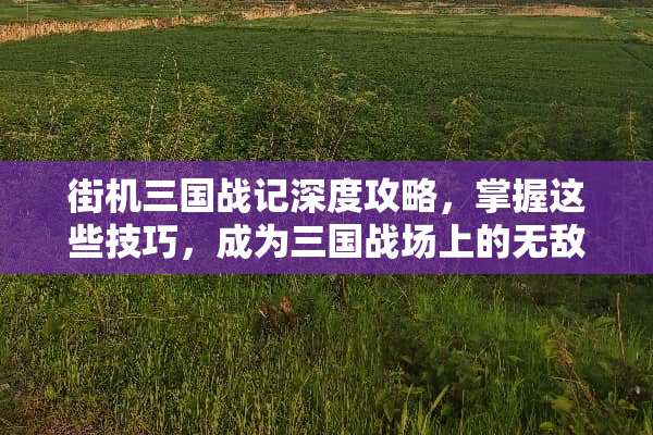 街机三国战记深度攻略，掌握这些技巧，成为三国战场上的无敌英雄！ 街机三国战记攻略