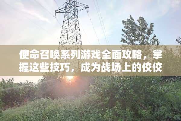 使命召唤系列游戏全面攻略，掌握这些技巧，成为战场上的佼佼者 目标系列游戏攻略