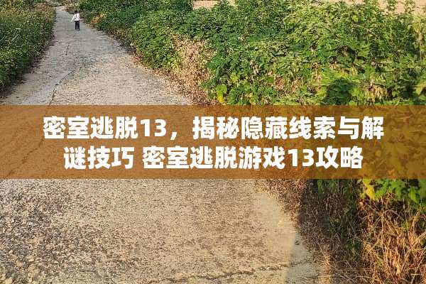 密室逃脱13，揭秘隐藏线索与解谜技巧 密室逃脱游戏13攻略