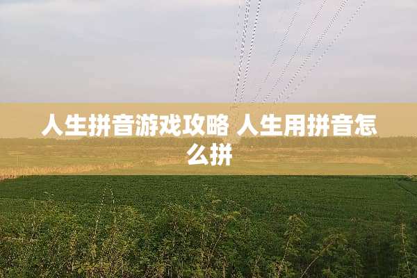 人生拼音游戏攻略 人生用拼音怎么拼