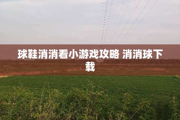 球鞋消消看小游戏攻略 消消球下载
