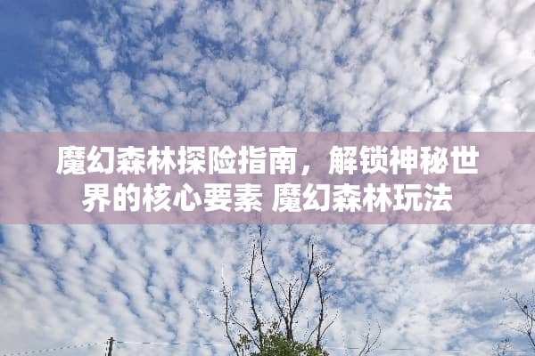 魔幻森林探险指南，解锁神秘世界的核心要素 魔幻森林玩法
