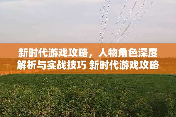 新时代游戏攻略，人物角色深度解析与实战技巧 新时代游戏攻略人物