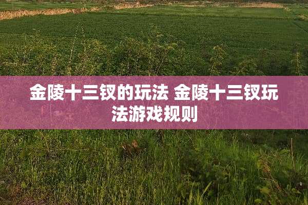 金陵十三钗的玩法 金陵十三钗玩法游戏规则