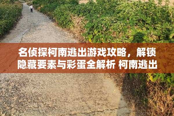 名侦探柯南逃出游戏攻略，解锁隐藏要素与彩蛋全解析 柯南逃出游戏攻略