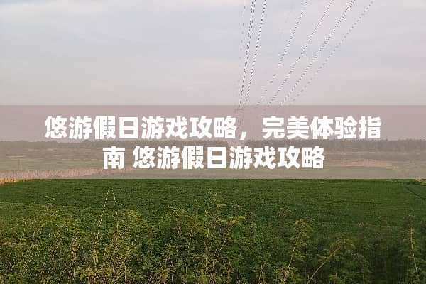 悠游假日游戏攻略，完美体验指南 悠游假日游戏攻略