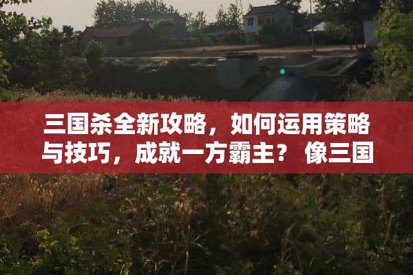 三国杀全新攻略，如何运用策略与技巧，成就一方霸主？ 像三国游戏攻略