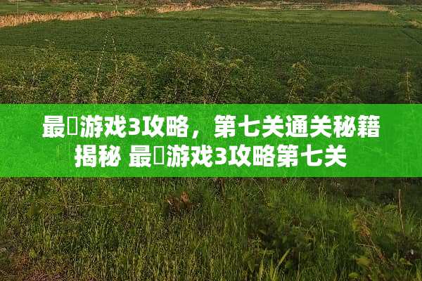 最囧游戏3攻略，第七关通关秘籍揭秘 最囧游戏3攻略第七关