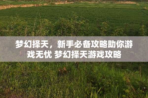 梦幻择天，新手必备攻略助你游戏无忧 梦幻择天游戏攻略