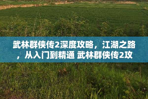 武林群侠传2深度攻略，江湖之路，从入门到精通 武林群侠传2攻略
