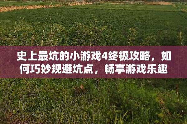 史上最坑的小游戏4终极攻略，如何巧妙规避坑点，畅享游戏乐趣 史上最坑的小游戏4攻略