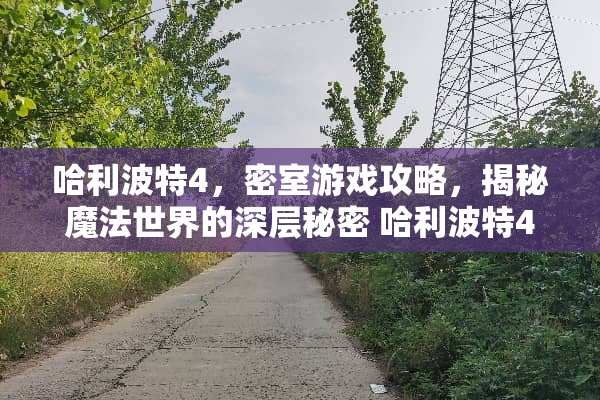 哈利波特4，密室游戏攻略，揭秘魔法世界的深层秘密 哈利波特4密室游戏攻略