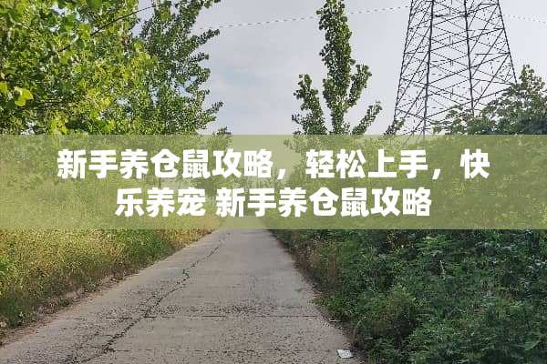 新手养仓鼠攻略，轻松上手，快乐养宠 新手养仓鼠攻略