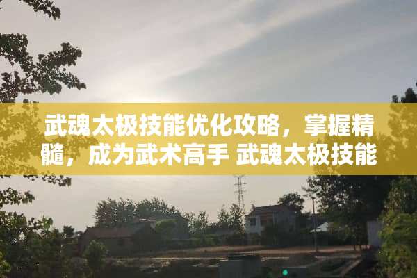 武魂太极技能优化攻略，掌握精髓，成为武术高手 武魂太极技能