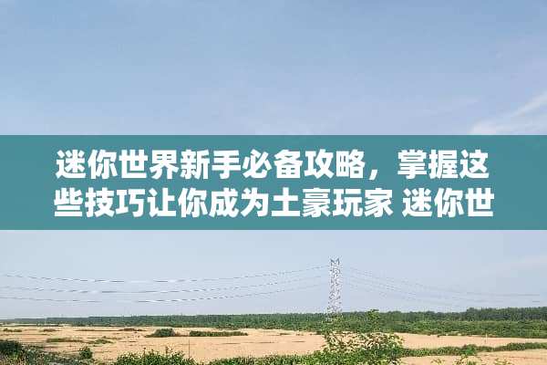 迷你世界新手必备攻略，掌握这些技巧让你成为土豪玩家 迷你世界玩法攻略