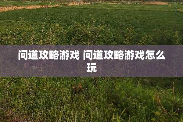 问道攻略游戏 问道攻略游戏怎么玩