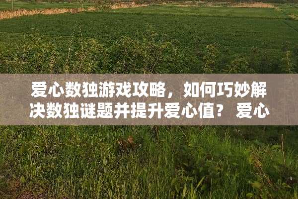 爱心数独游戏攻略，如何巧妙解决数独谜题并提升爱心值？ 爱心数独游戏攻略