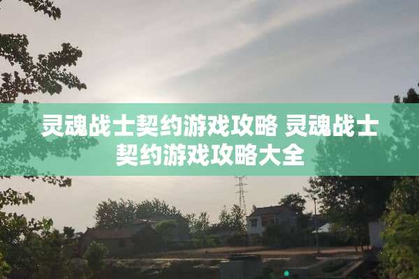 灵魂战士契约游戏攻略 灵魂战士契约游戏攻略大全
