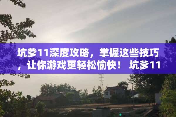 坑爹11深度攻略，掌握这些技巧，让你游戏更轻松愉快！ 坑爹11攻略