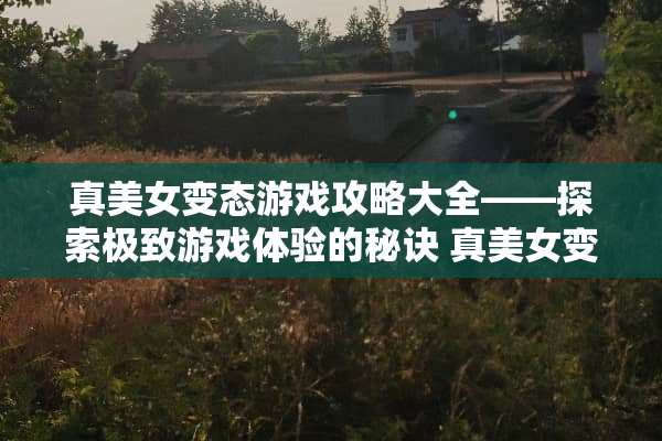 真****游戏攻略大全——探索极致游戏体验的秘诀 真****游戏攻略全部