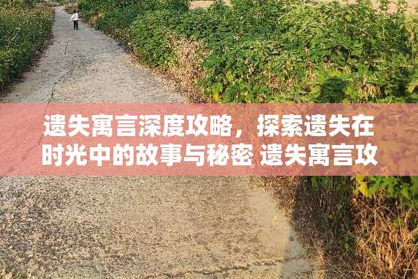 遗失寓言深度攻略，探索遗失在时光中的故事与秘密 遗失寓言攻略