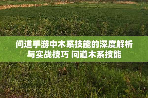 问道手游中木系技能的深度解析与实战技巧 问道木系技能
