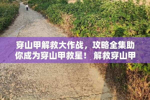 穿山甲解救大作战，攻略全集助你成为穿山甲救星！ 解救穿山甲攻略游戏